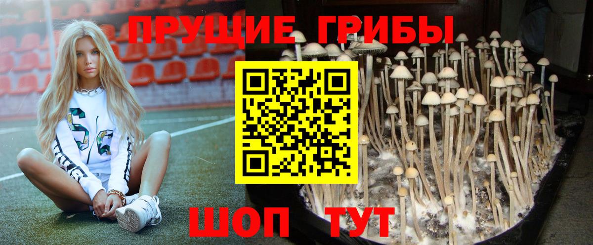 Калуга  Галлюциногенные грибы мицелий  Псилоцибиновые грибы прущие грибы  Вход с VPN 