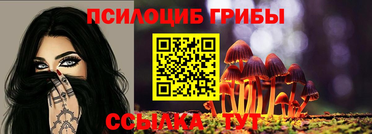 Галлюциногенные грибы Cubensis Калуга